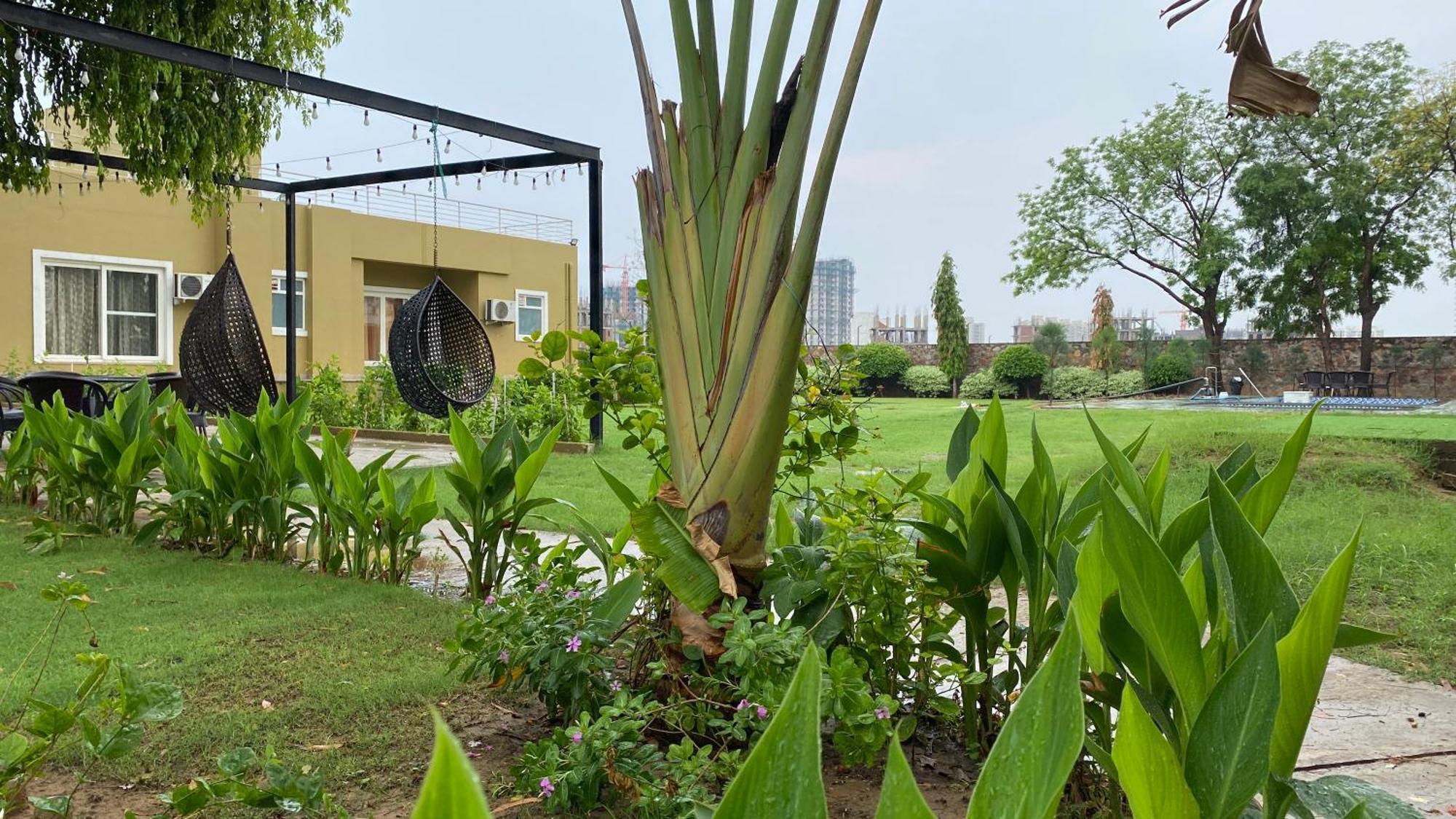 Raas Vilas - Boutique Farm House With Pool Taoru Bagian luar foto